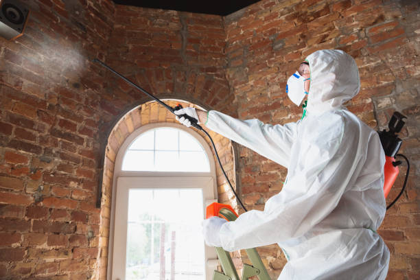 Why You Should Choose Our Mold Remediation Services in Pompton Plains, NJ